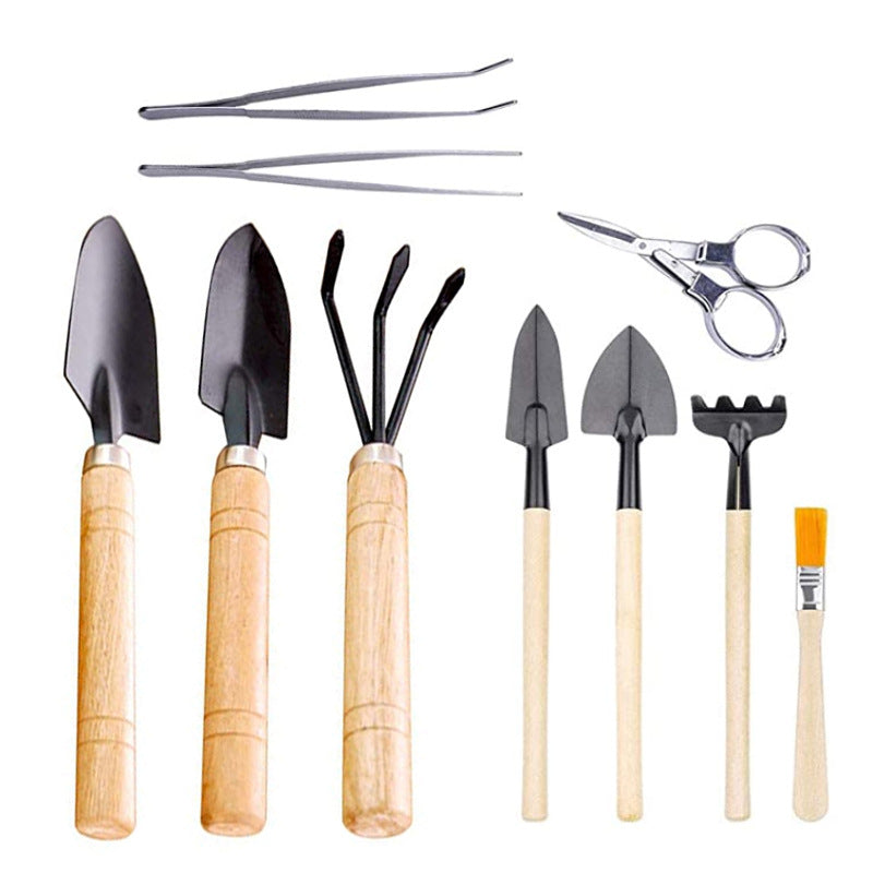 10-piece set of B-type succulent planting tools