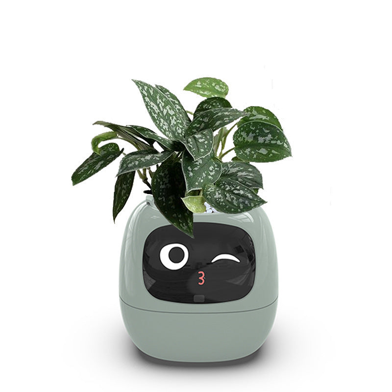 Automatic water-absorbing flower pot