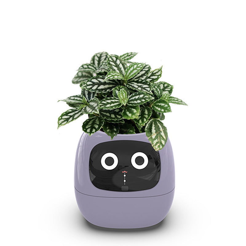 Automatic water-absorbing flower pot