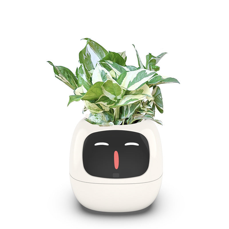 Automatic water-absorbing flower pot