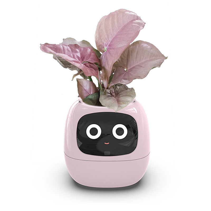 Automatic water-absorbing flower pot