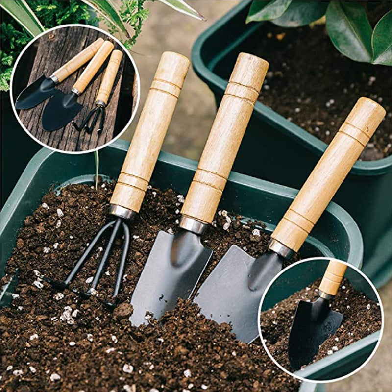 10-piece set of B-type succulent planting tools