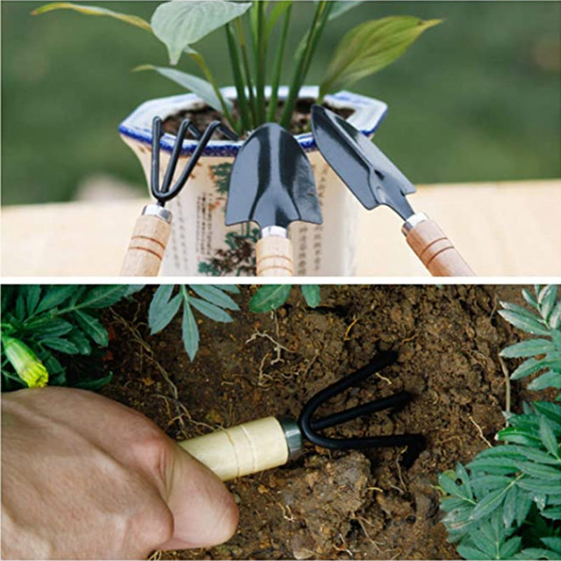 10-piece set of B-type succulent planting tools